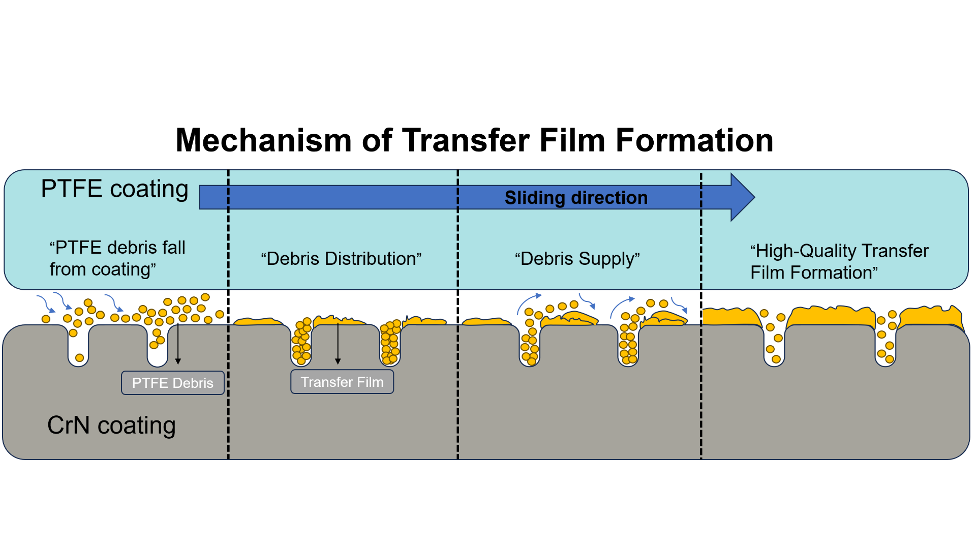 Transfer Factor Particles Jiazhen Chen